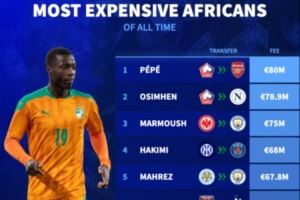 德转统计历史非洲转会费最贵球员：佩佩加盟阿森纳8000万欧居首